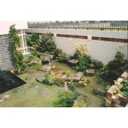 TIỂU CẢNH SÂN VƯỜN GIÁ RẺ TIỂU CẢNH SÂN VƯỜN GIÁ RẺ