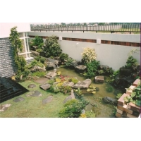 TIỂU CẢNH SÂN VƯỜN GIÁ RẺ TIỂU CẢNH SÂN VƯỜN GIÁ RẺ