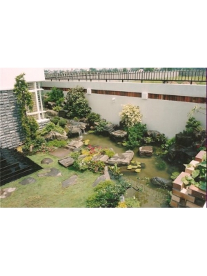 TIỂU CẢNH SÂN VƯỜN GIÁ RẺ TIỂU CẢNH SÂN VƯỜN GIÁ RẺ